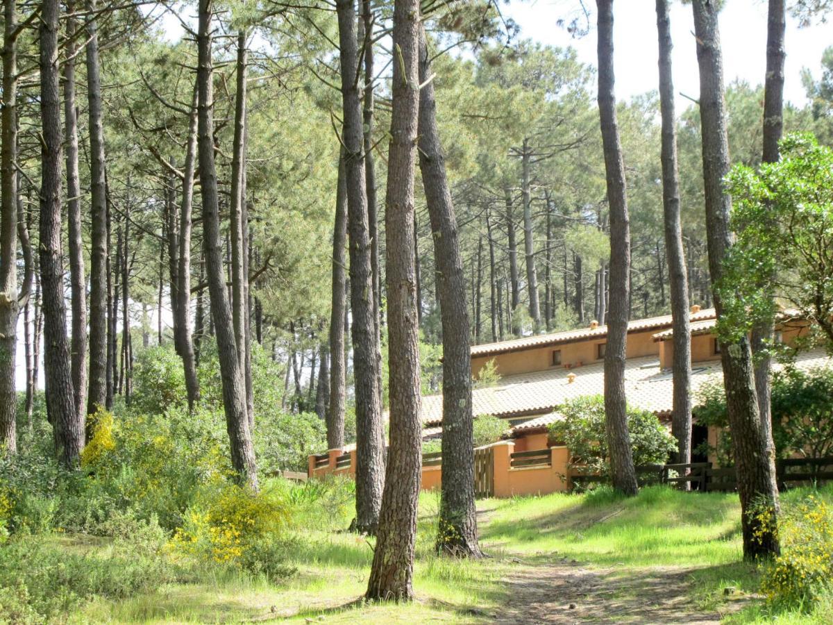 Holiday Home Les Maisons De La Foret By Interhome Lacanau Ngoại thất bức ảnh